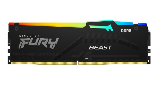 Imagen del Kingston Fury Beast 16GB DDR5 5600MHz