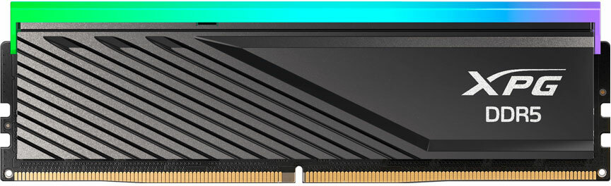 Imagen del Adata XPG 8GB DDR5 5600MHz